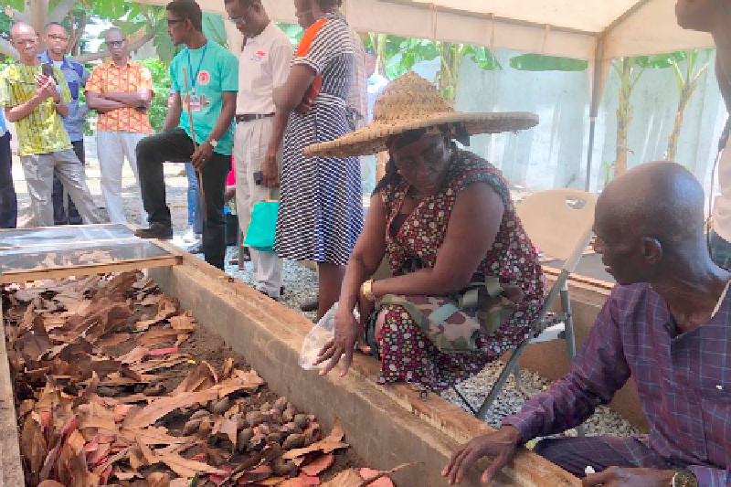 Ghanaians urged to tap into $2bn global snail value chain business